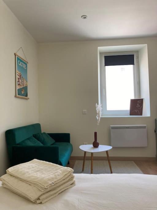 Appartement Hyper Centre - Ecusson Castres (Tarn)